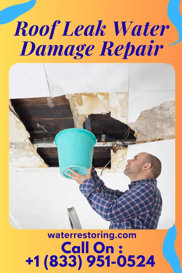 Roof Leak Water Damage Repair in Climax, MI