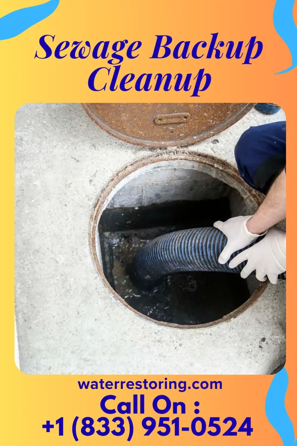 Sewage Backup Cleanup in Climax, MI