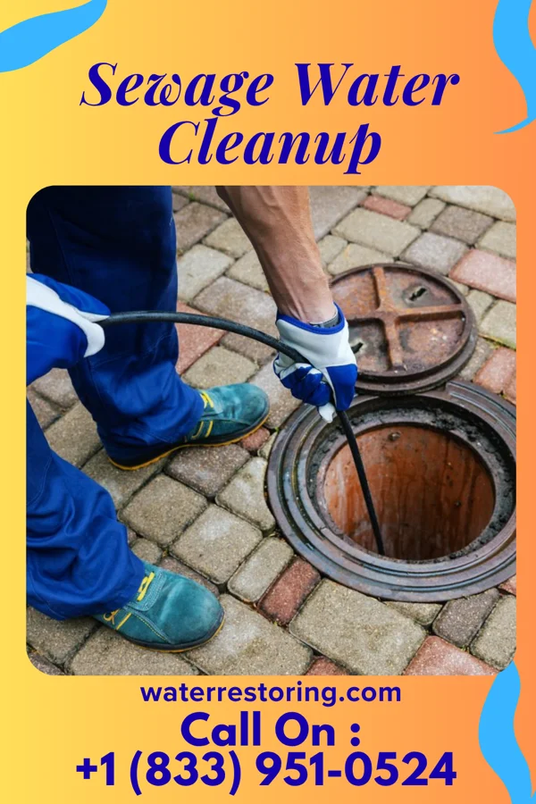 Sewage Water Cleanup in Climax, MI